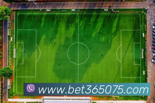 bet365中国官网服务体系
